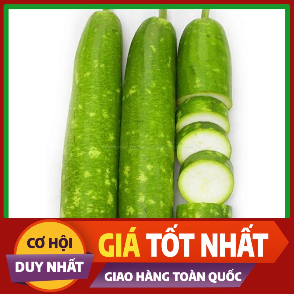 Hạt giống cây Bầu Sao
