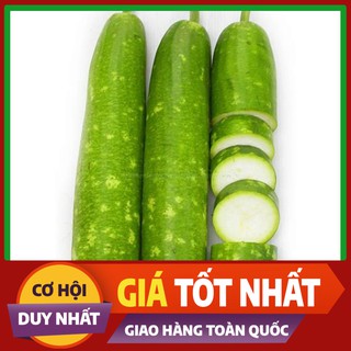 Hạt giống cây Bầu Sao