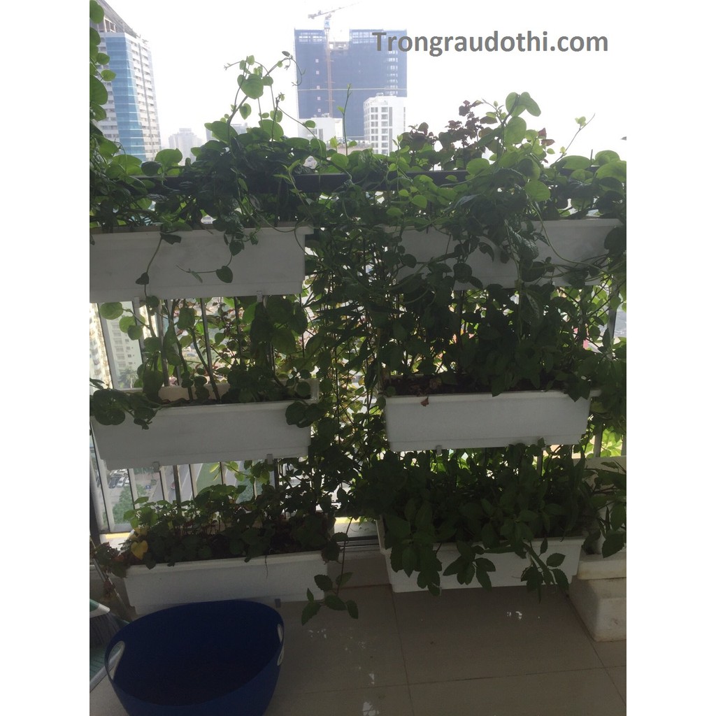 Giá móc treo 3 tầng trồng cây ban công bằng inox