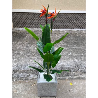Cây xanh giả đủ mẫu lá tháo lắp được cao 1m2 - 1m5 không chậu