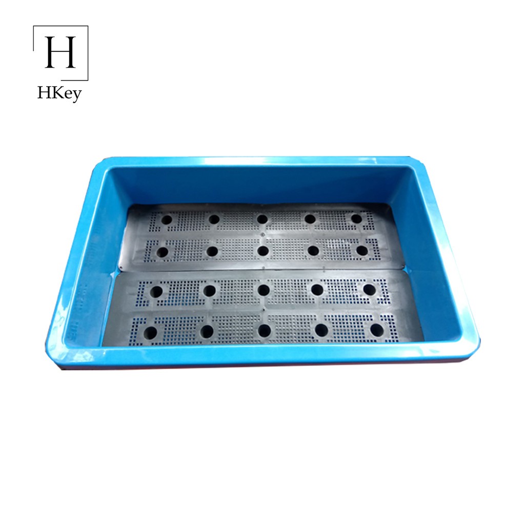 Ngoài Trời & Sân Vườn ComBo Chậu Nhựa Thông Minh Trồng Rau Hình Chữ Nhật Lớn 2 Kích Thước Và 3 Màu