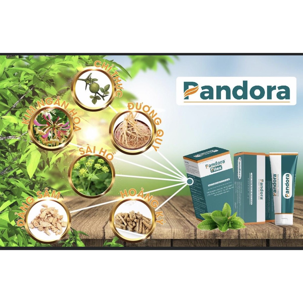 Kem bôi Trĩ Pandora - Hỗ trợ co búi Trĩ, giảm táo bón - top1pharmacy