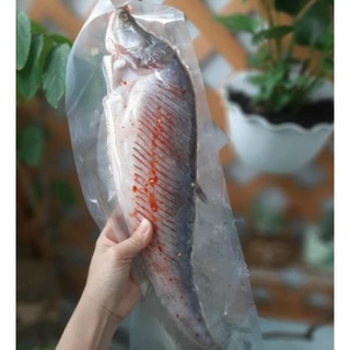 [Hoả tốc HCM] CÁ THÁT LÁT RÚT XƯƠNG 1KG/3CON