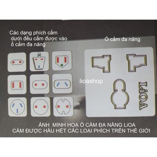 Ổ ĐƠN ĐA NĂNG LiOA.