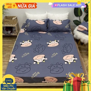 [Free ship-Xả kho cắt lỗ]Drap ga giường poly,chát chọn mẫu,sẵn hàng tại tp hcm-mẫu hoa bèo
