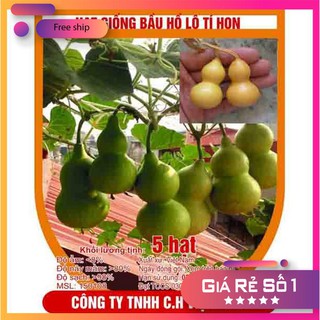 Hạt giống Bầu hồ lô mini