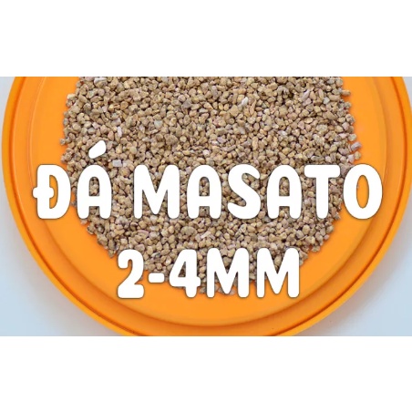 Đá Masato giữ màu Sen đá siêu đẹp