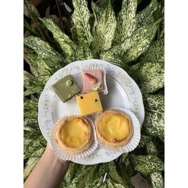 Đế bánh tart trứng