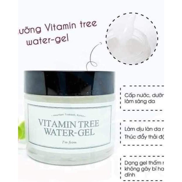 Gel Dưỡng Ẩm I'm From Vitamin Tree Water Gel