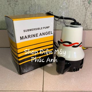 Máy bơm chìm 12V