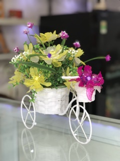 Giỏ hoa xe đạp