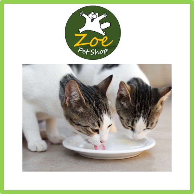 Sữa Bột Bio Milk For Pet Cao Cấp 100g- Sữa bột Chó Mèo - Sữa Cho Chó Mèo | Thơm Ngon - Bổ Dưỡnghop