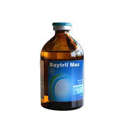 [Giá Rẻ] BAYTRIL - MAX viêm phổi heo, tụ huyết trùng, bệnh Glässer, viêm đa màng