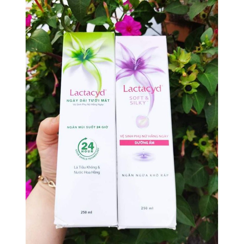 ( Chai lớn 250ml) Dung dịch vệ sinh phụ nữ Lactacyd ngăn ngừa mùi