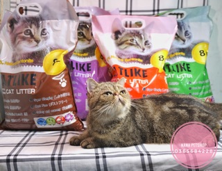 CÁT VỆ SINH CHO MÈO CATLIKE 8L