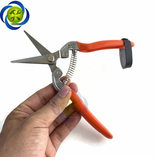 KÉO CẮT CÀNH BUDDY BD024