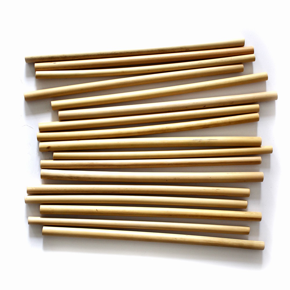 Ống Hút Tre Thiên Nhiên One4One