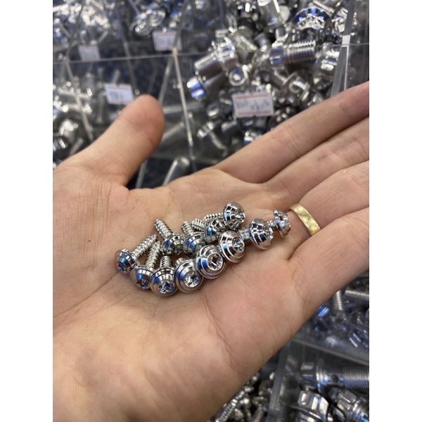 Ốc Salaya INOX304 size 4-5-6-8li xoắn - nhuyễn bắt dàn áo - đĩa