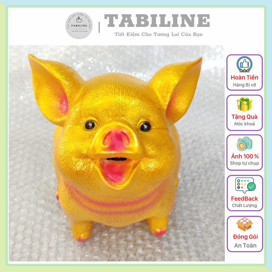 Lợn đất heo đất ống heo tiết kiệm tiền TABILINE Tai vểnh vàng đồng vip LD58
