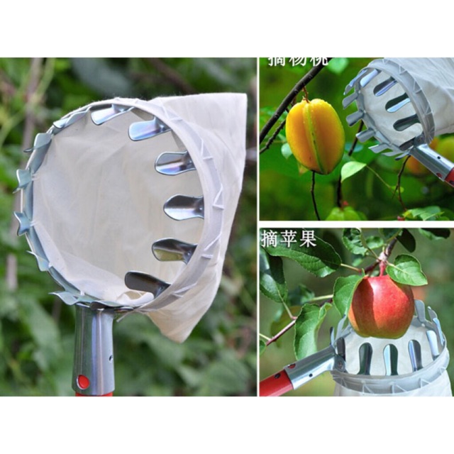 Dụng cụ hái trái cây đa năng
