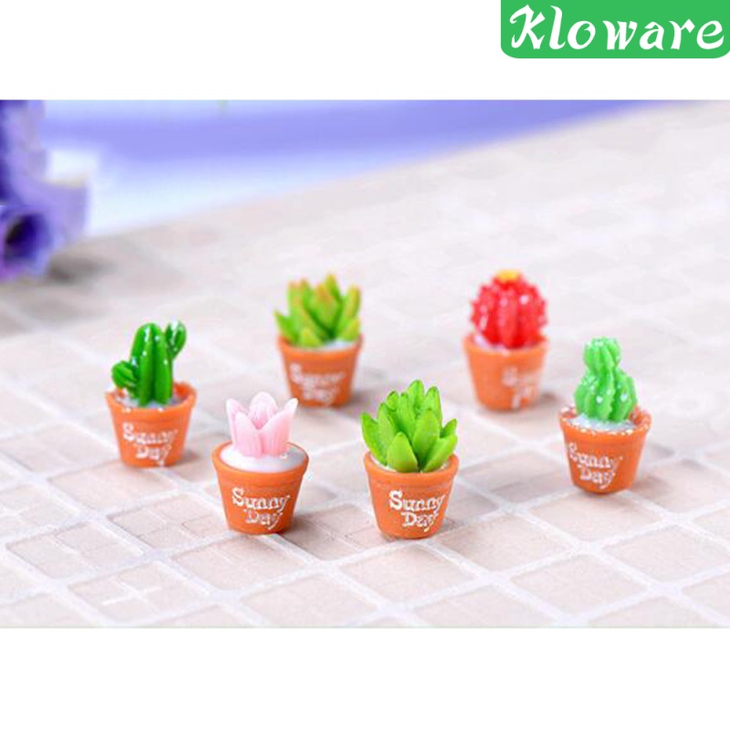 Chậu Cây Mọng Nước Nhân Tạo Để Bàn Trang Trí Nhà Cửa / Văn Phòng