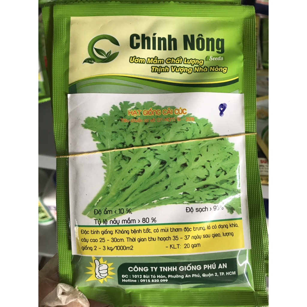 Hạt giống cải cúc