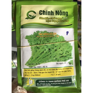 Hạt giống cải cúc