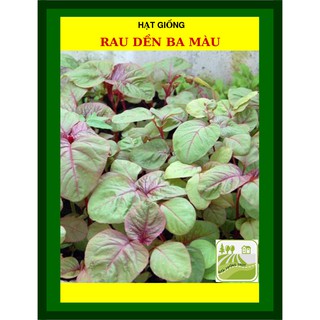 Hạt Giống Rau Dền 3 Màu 50 Gram