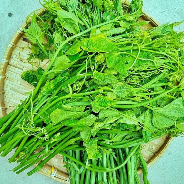 Hạt giống Bí siêu ngọn (Tặng kèm phân)
