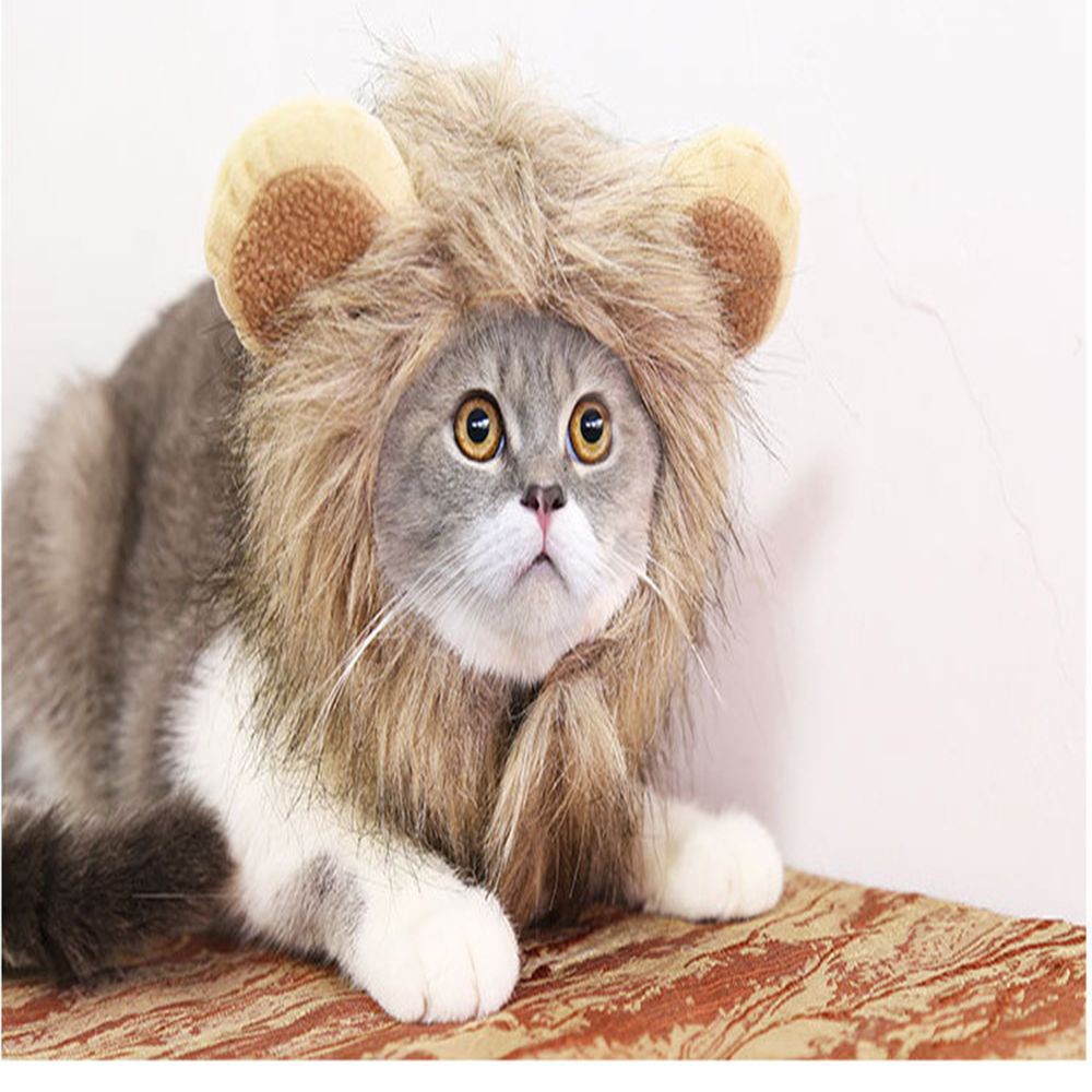 MIOSHOP Funny Lion Headgear Halloween Dog Hat Cat Costume Cute Dress Bristles Animal Toys Pet Products