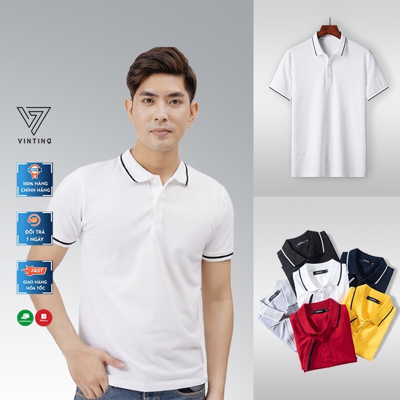 Áo thun polo nam có cổ kẻ sọc basic, Áo phông nam ngắn tay vải cá sấu cotton thời trang VINTINO PLV