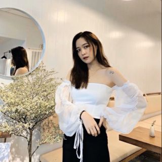 Áo trắng rớt vai tay bồng