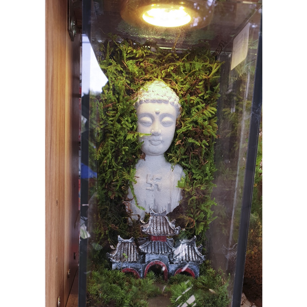 Đèn led đế gỗ tròn mini - trưng bày quả cầu pha lê, sản phẩm Resin, bể Terrarium, bể cá mini