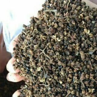 Hạt Mắc Khén Gia Vị núi rừng Tây Bắc 0,5kg và 1kg