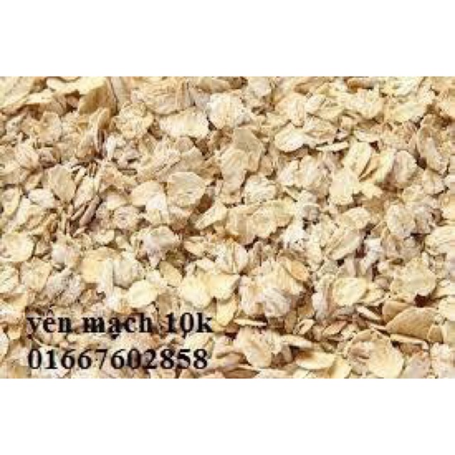 yến mạch cho hamter