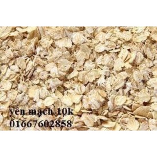 Yến mạch cho hamter