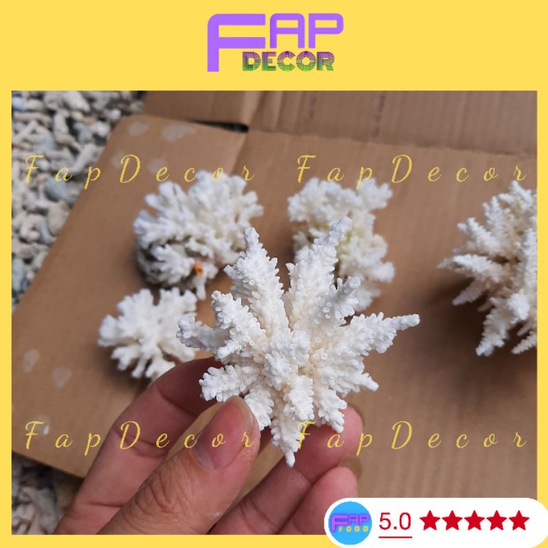San Hô Bông Rạn Mini Trang Trí Bàn Làm Việc Decor Bể Cá Thủy Sinh Rẻ Đẹp Chất Lượng - FapFood