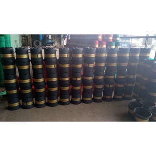 Combo 5 chậu mon 5gl