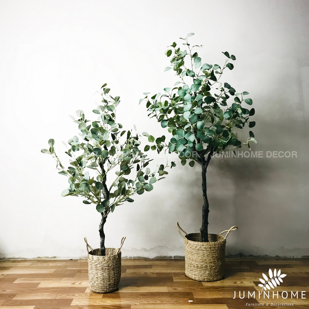 Cây giả, Cây bạch đàn giả, lá táo, lá bạc  - Cây giả decor trang trí nhà cửa nội thất phòng khách phòng ngủ