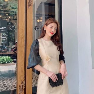 Combo váy trắng và áo zara L