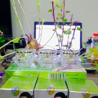 Kem Yiyimei 5 sản phẩm