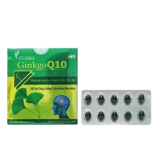 Ginkgo biloba 120mg bổ sung dưỡng chất cho não q10