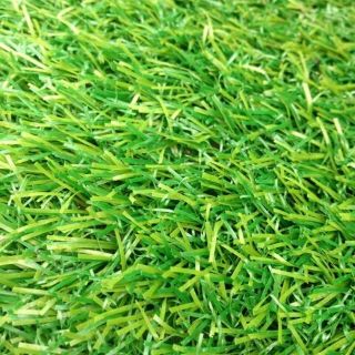 Thảm Cỏ Nhân Tạo Sợi Kim 2cm