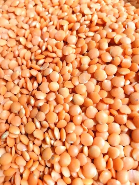 Đậu lăng đỏ hữu cơ