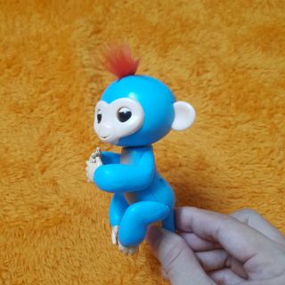 Đồ chơi Khỉ Finger Monkey