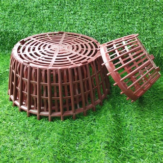 Combo 10 chậu nhựa nan phụ f35,chậu trồng lan,giỏ treo lan