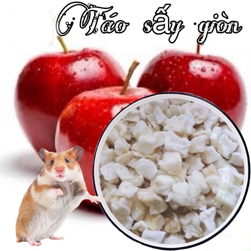Táo sấy cho hamster
