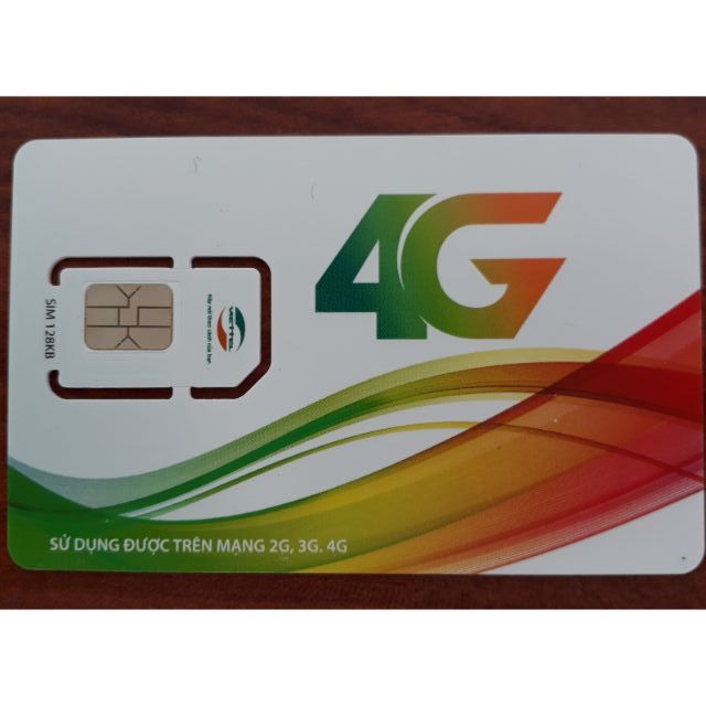 Phôi sim trắng 4G