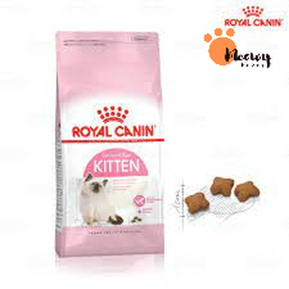 Hạt khô cho mèo Royal Canin Kitten túi nguyên