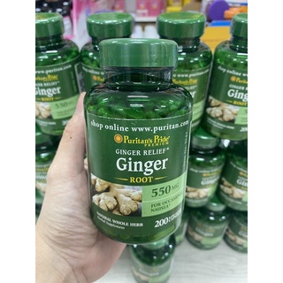 200V GINGER ROOT CỦA MỸ